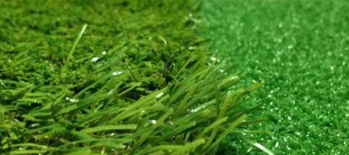 Artificial Grass Carpet